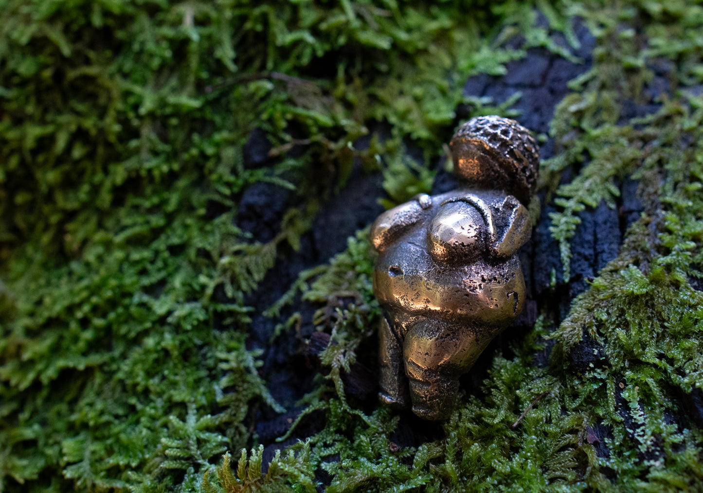 Dolní Věstonice Venus statuette