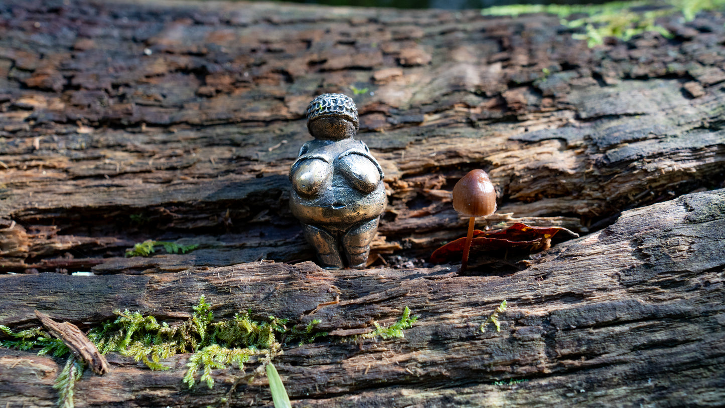 Dolní Věstonice Venus statuette