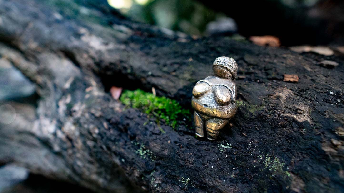 Dolní Věstonice Venus statuette
