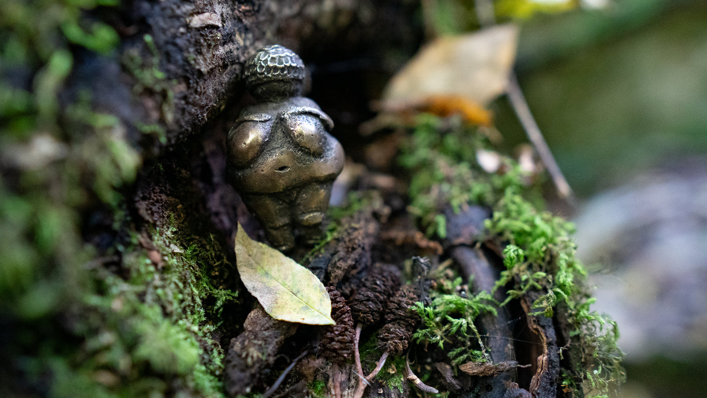 Dolní Věstonice Venus statuette
