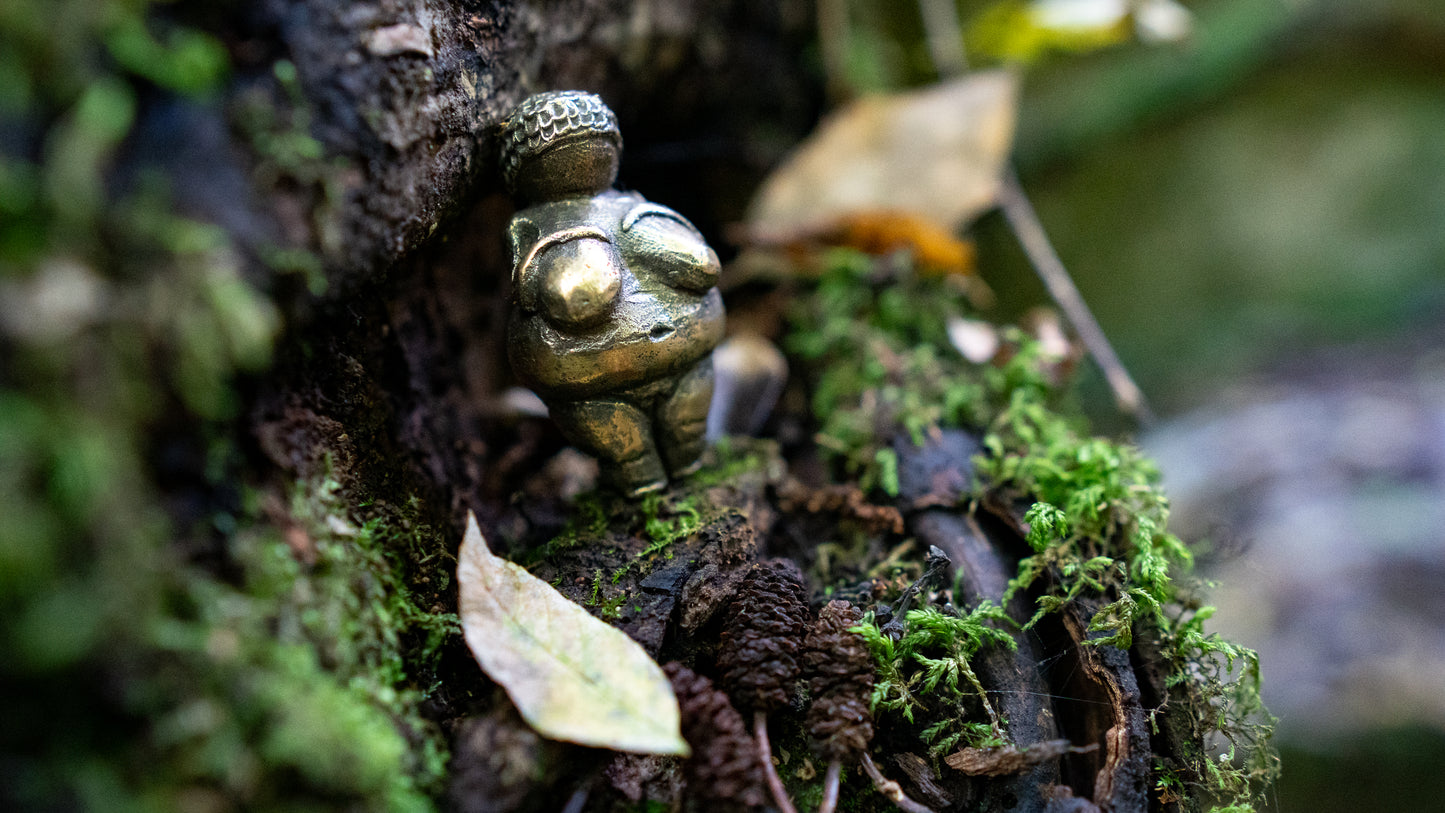 Dolní Věstonice Venus statuette