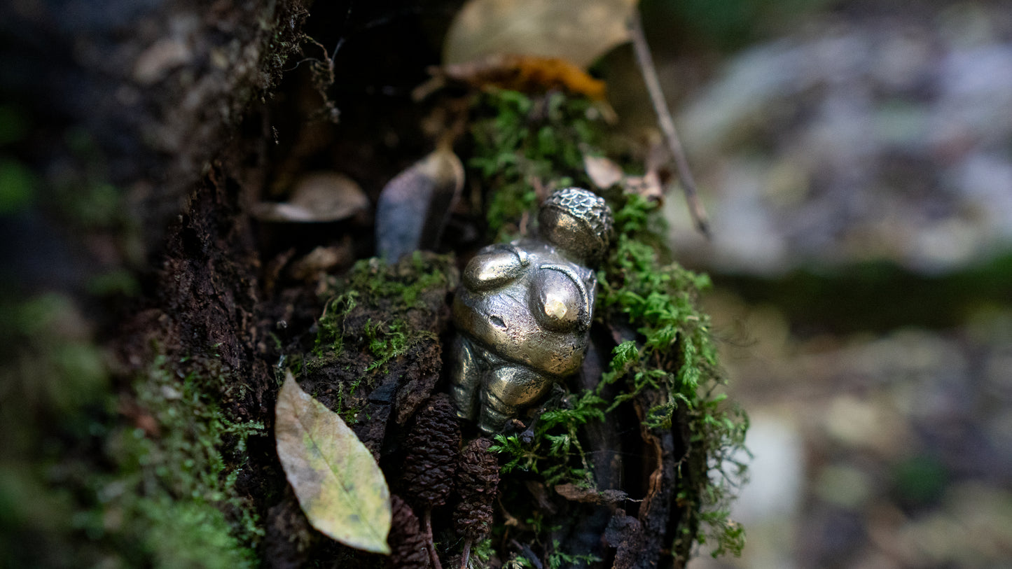 Dolní Věstonice Venus statuette